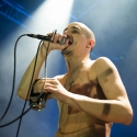 Fat White Family
