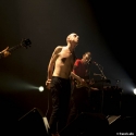 Fat White Family