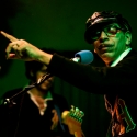 Kid Congo and The Pink Monkey Birds