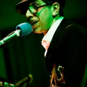 Kid Congo and The Pink Monkey Birds