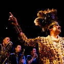 King Khan and the Shrines