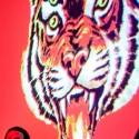 Les Tigres du Futur