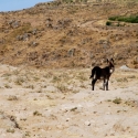 Pérou