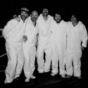 Super Furry Animals