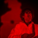 Super Furry Animals