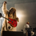 Super Furry Animals