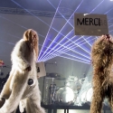 Super Furry Animals