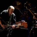 Swans