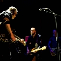 Swans