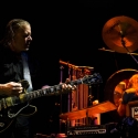 Swans