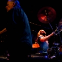 Swans