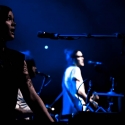 The Dandy Warhols