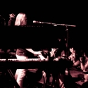 The Dandy Warhols