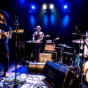 The Dodos