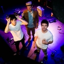 The Dodos