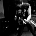 the dodoz
