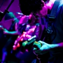 the dodoz