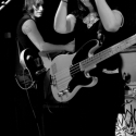 the dodoz