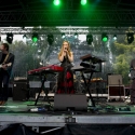 The Magnetic North