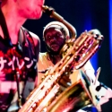 Two Many Zooz