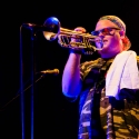 Two Many Zooz