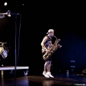 Two Many Zooz