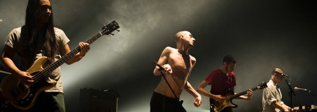 DSC_3531